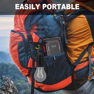 Travel Accessories